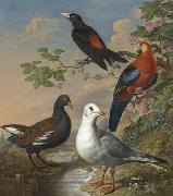 Philip Reinagle, A Moorhen, A Gull, A Scarlet Macaw and Red-Rumped A Cacique By a Stream in a Landscape